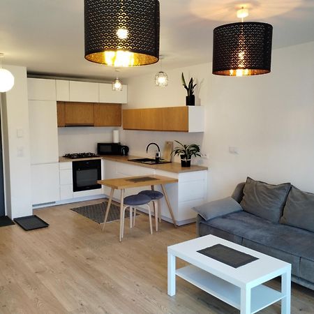 Studio Park Slaski M.10 Katowice/Chorzow Ngoại thất bức ảnh