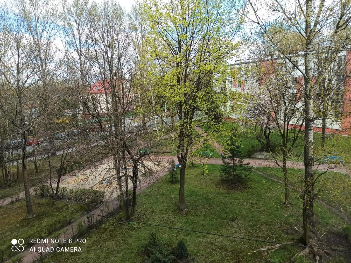 Studio Park Slaski M.10 Katowice/Chorzow Ngoại thất bức ảnh