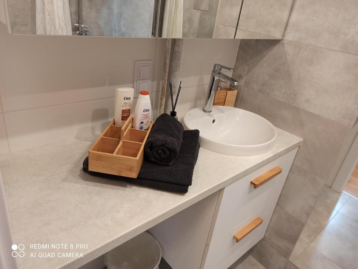 Studio Park Slaski M.10 Katowice/Chorzow Ngoại thất bức ảnh